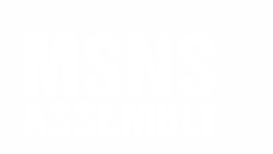 logo_msns_W